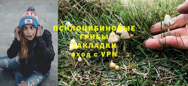 ALPHA PVP Богданович