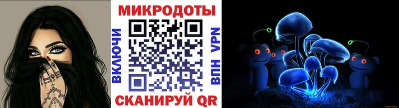 Галлюциногенные грибы GOLDEN TEACHER Купить Тимашёвск