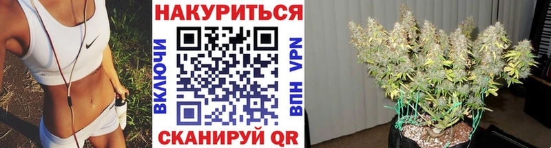 Шишки марихуана VHQ  Купить где  Тимашёвск 